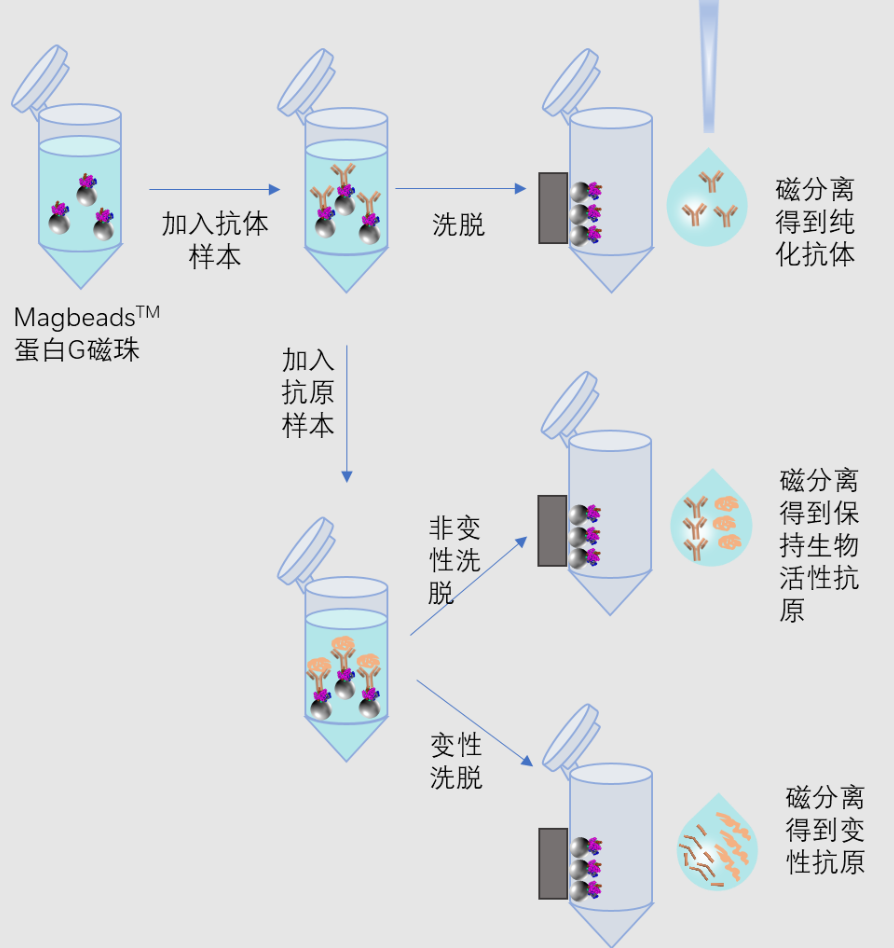 6732e3e711379bf1a877e9dc637dd25.png